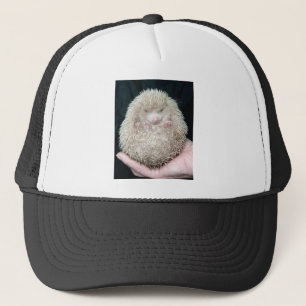 Gorra De Camionero Hedgehog