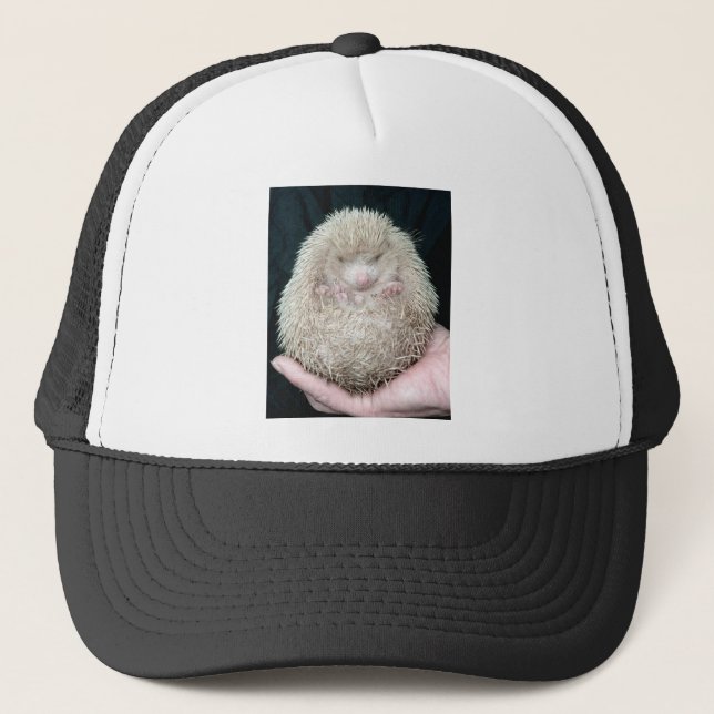 Gorra De Camionero Hedgehog (Anverso)