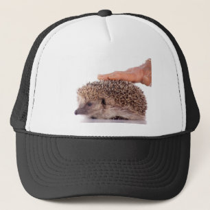 Gorra De Camionero Hedgehog,