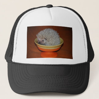 Gorra De Camionero Helado del erizo