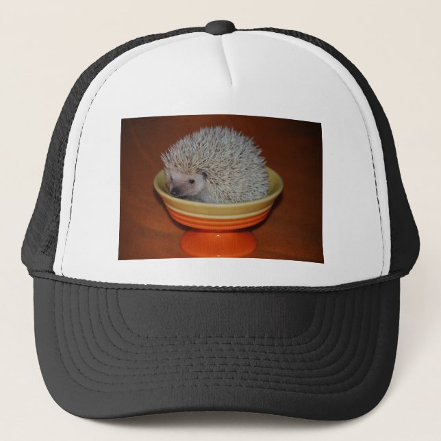 Gorra De Camionero Helado del erizo (Anverso)