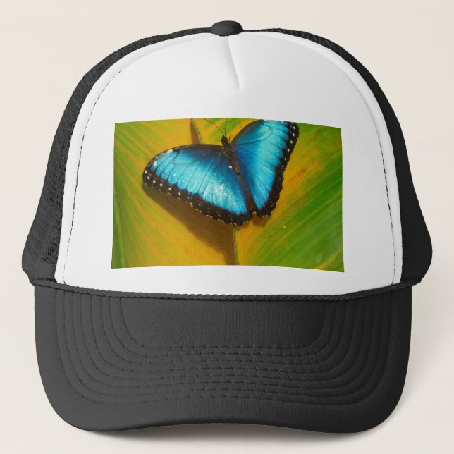 Gorra De Camionero Hermosa mariposa irlandesa