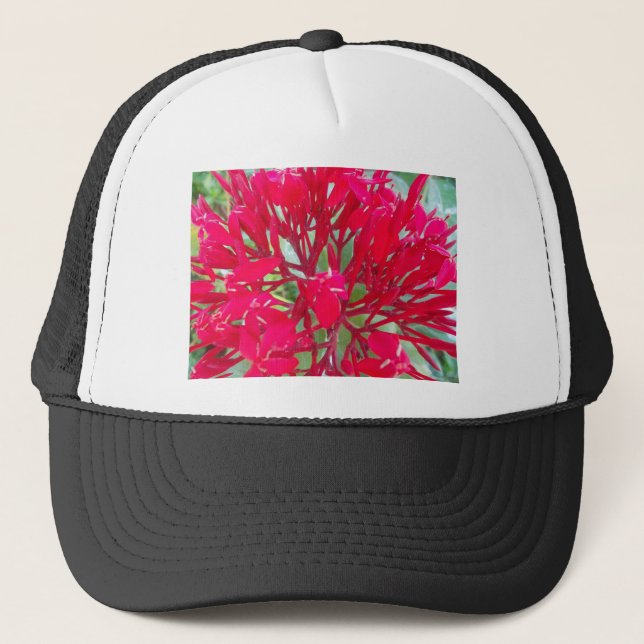 Gorra De Camionero Hermosas flores rojas alucinantes (Anverso)