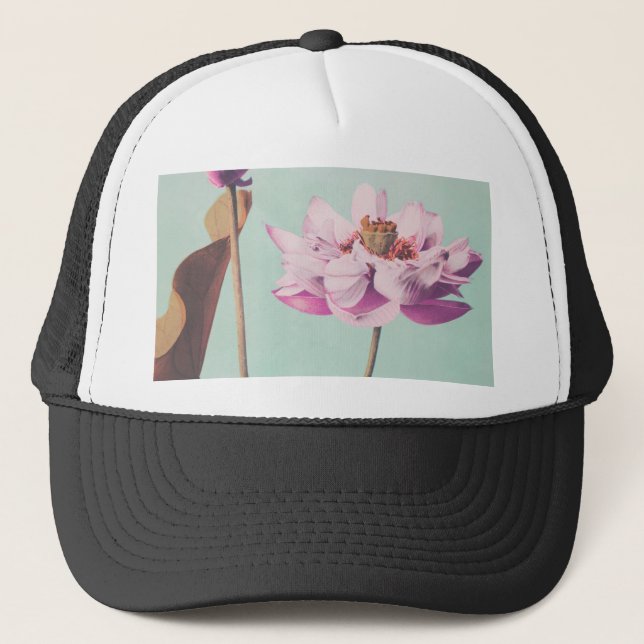 Gorra De Camionero Hermoso fotomecánico de Ogawa Kazumasa (Anverso)