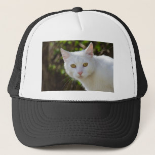 Gorra De Camionero Hermoso gato blanco