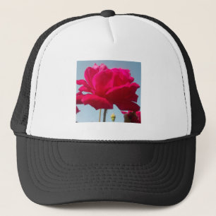 Gorra De Camionero Hermoso Rosa Celestial Rojo Contra Azul