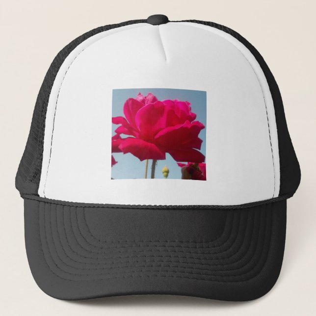 Gorra De Camionero Hermoso Rosa Celestial Rojo Contra Azul (Anverso)