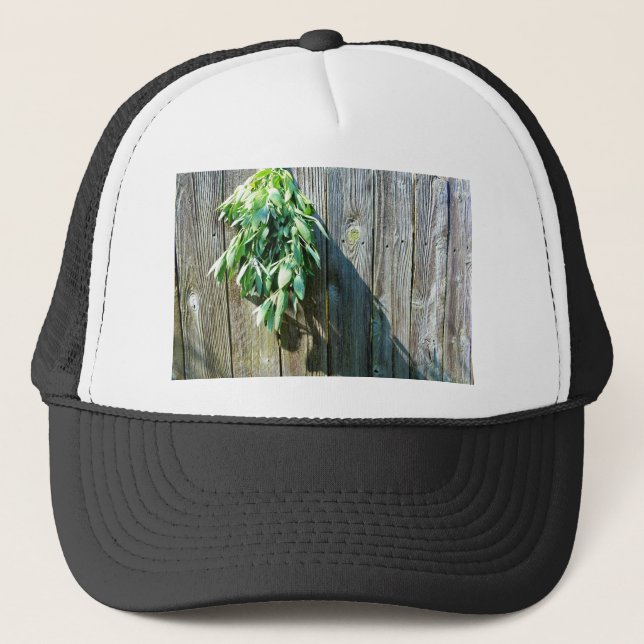 Gorra De Camionero Hierbas verdes botánicas grano de madera afligido (Anverso)
