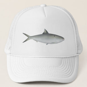 Gorra De Camionero Hilsa Shad