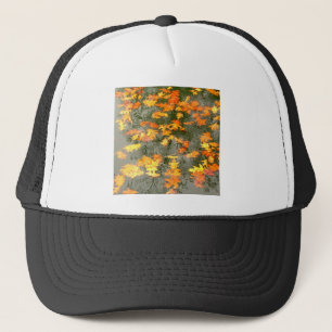 Gorra De Camionero hojas caídas en lluvia