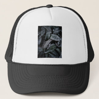 Gorra De Camionero Hojas de Guay