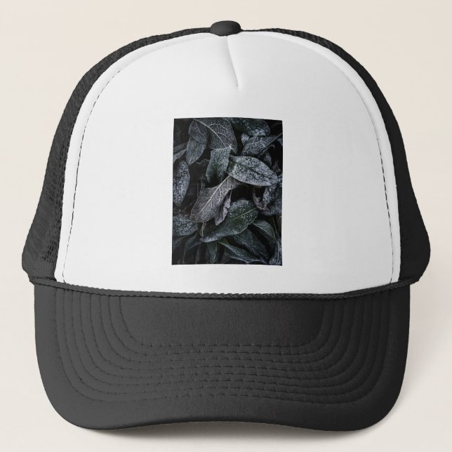 Gorra De Camionero Hojas de Guay (Anverso)