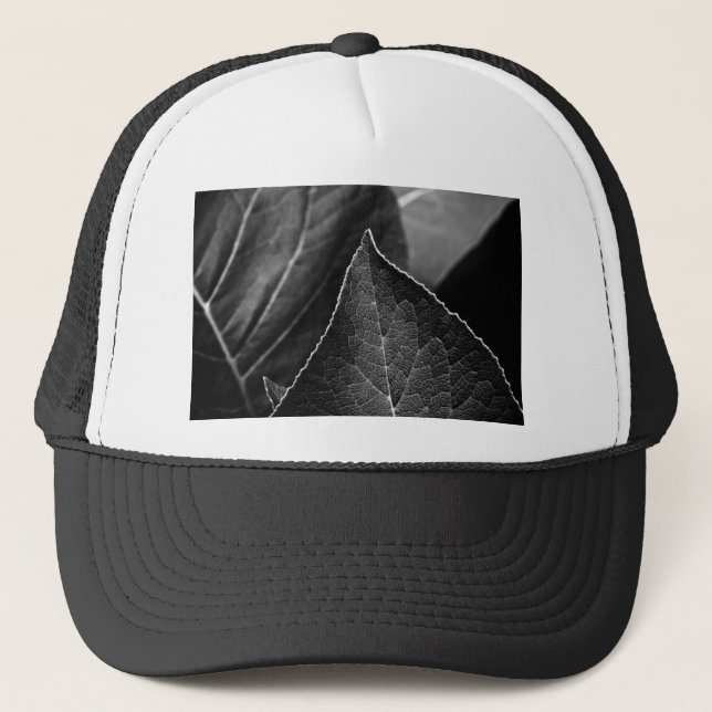 Gorra De Camionero hojas en curso (Anverso)