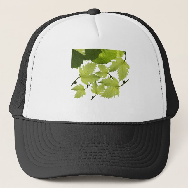 Gorra De Camionero Hojas verdes de vid de uva (Anverso)