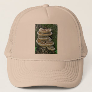 Gorra De Camionero Hongos estantes en Stump