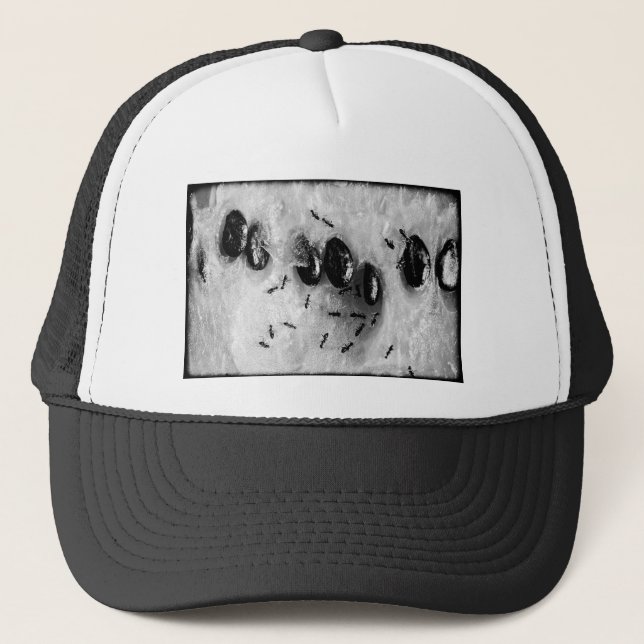 Gorra De Camionero hormigas surfeando (Anverso)