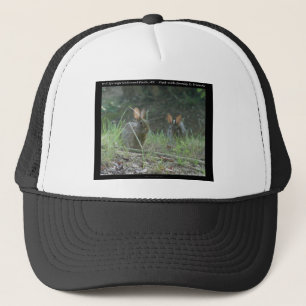 Gorra De Camionero Hot Springs National Park, AR Regalos de Conejos