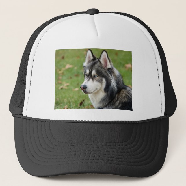 Gorra De Camionero Husky (Anverso)