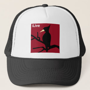 Gorra De Camionero IBWO: iLive