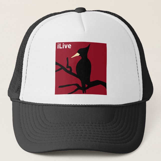Gorra De Camionero IBWO: iLive (Anverso)