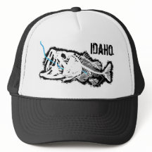 IDAHO INFLUIDO - UNA MALA BASE