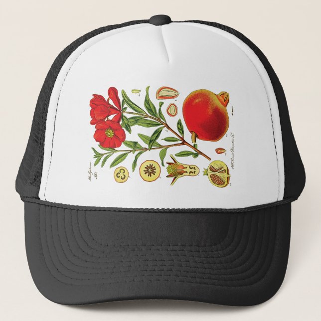 Gorra De Camionero Ilustración Antigua de Granada (Anverso)