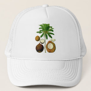 Gorra De Camionero Ilustracion botánico del árbol de coco