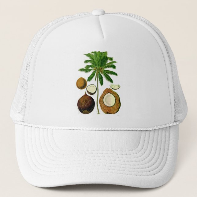 Gorra De Camionero Ilustracion botánico del árbol de coco (Anverso)