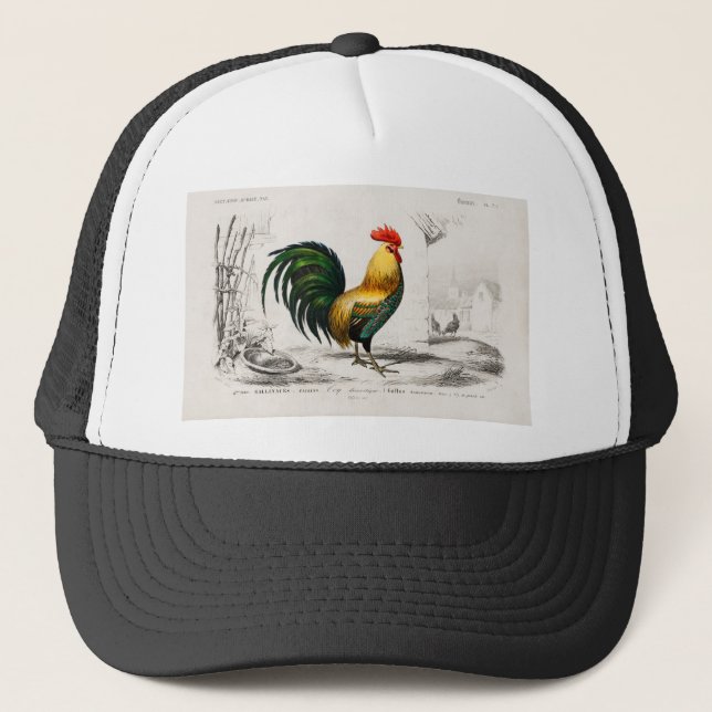 Gorra De Camionero ilustracion de Coop de Pollo de los Años 1800 (Anverso)