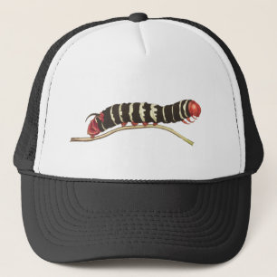 Gorra De Camionero Ilustracion de gusano de esfinge de yuca
