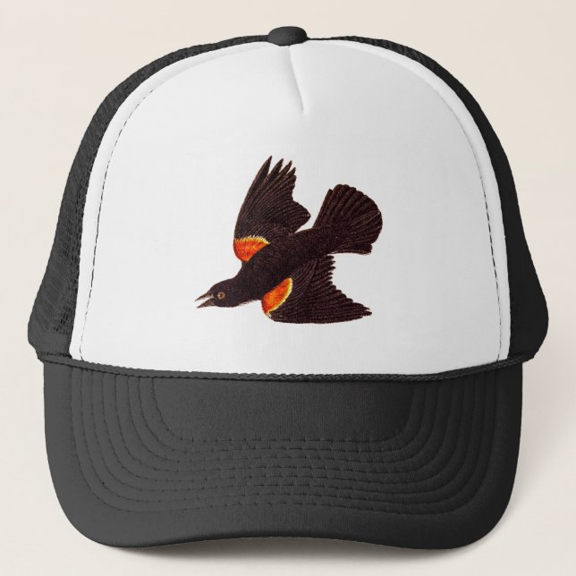 Gorra De Camionero Ilustracion negro de alas rojas del pájaro de los (Anverso)