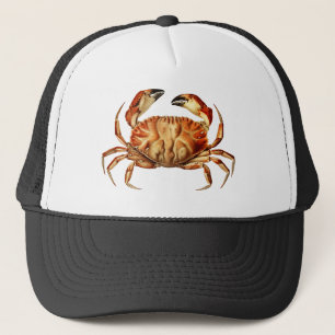 Gorra De Camionero imagen desde-rawpixel-id-547457.png