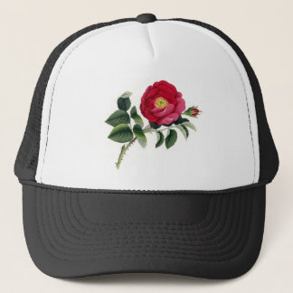 Gorra De Camionero Impresión botánica - color de rosa francés (Rosa