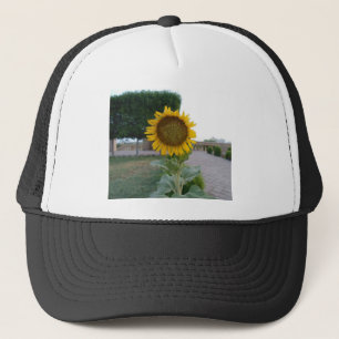 Gorra De Camionero Impresión de arte de girasol
