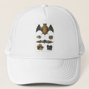 Gorra De Camionero Impresión de murciélagos en el C. 19