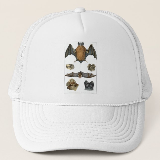 Gorra De Camionero Impresión de murciélagos en el C. 19 (Anverso)