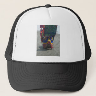 Gorra De Camionero Impresión/gráfico de arte capilar caprichoso