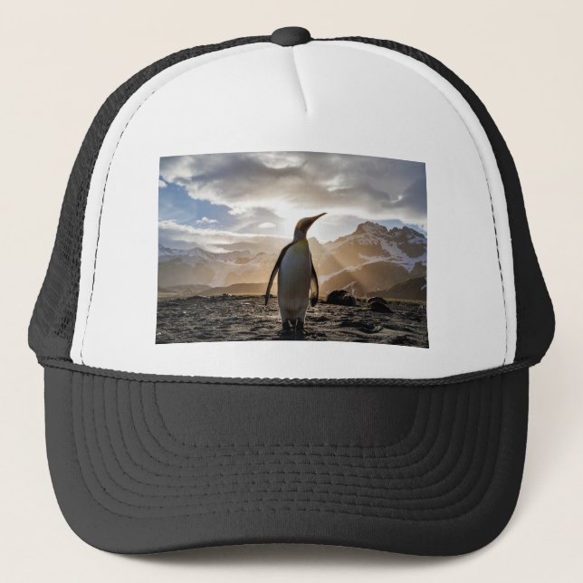 Gorra De Camionero Impresionante imagen de un pingüino (Anverso)