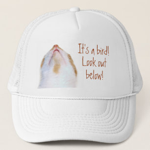 Gorra De Camionero Impulso del pájaro de Dodge