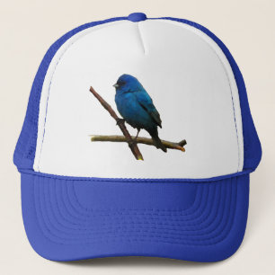 Gorra De Camionero Indigo Bunting