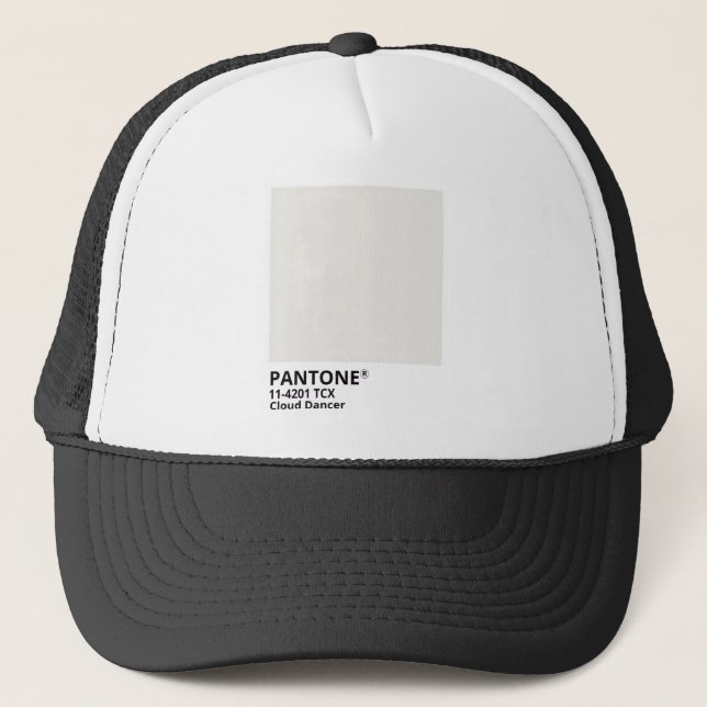 Gorra De Camionero Inpiration pantone 2026 (Anverso)