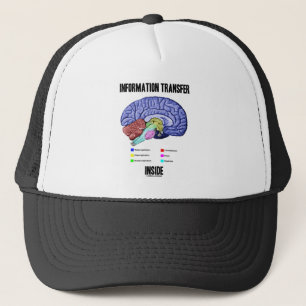 Gorra De Camionero Interior de la transmisión informativa (anatomía