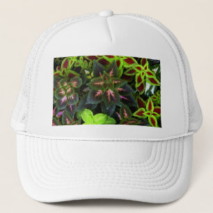 Gorra De Camionero Ir Verde_
