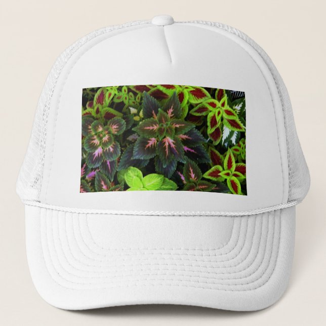 Gorra De Camionero Ir Verde_ (Anverso)