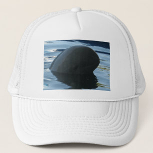 Gorra De Camionero Irrawaddy Dolphin Peek-A-Boo