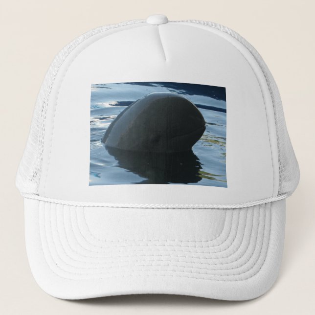 Gorra De Camionero Irrawaddy Dolphin Peek-A-Boo (Anverso)