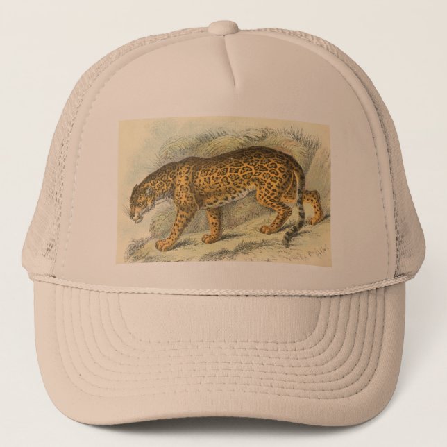 Gorra De Camionero Jaguar, onca del Felis (Anverso)