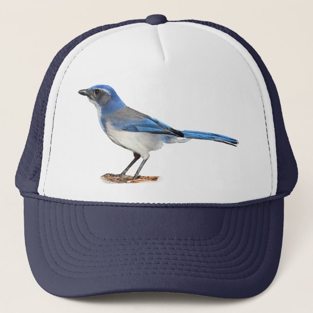 GORRA DE CAMIONERO JAY 2 (Anverso)