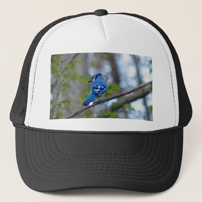 Gorra De Camionero Jay azul (Anverso)