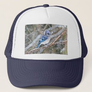 Gorra De Camionero Jay azul en una tormenta de nieve